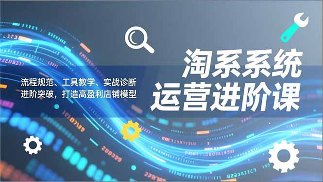 淘系系统运营进阶课2.0，流程规范、工具教学、实战诊断，进阶突破，打造高盈利店铺模型-项目网