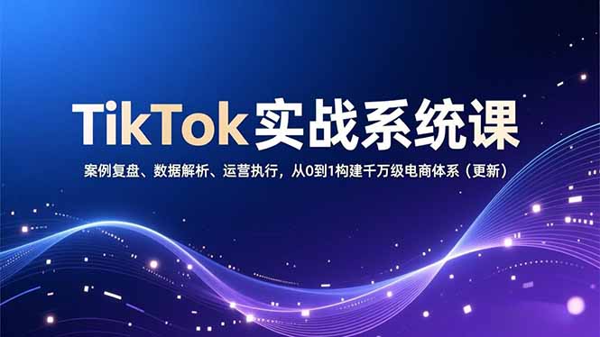 TikTok实战系统课，案例复盘、数据解析、运营执行，从0到1构建千万级电商体系(更新-项目网