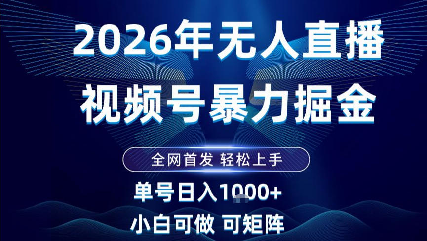 2026最新视频号无人直播掘金，全网首发，小白可以玩，长期稳定日入1k+【揭秘】-项目网