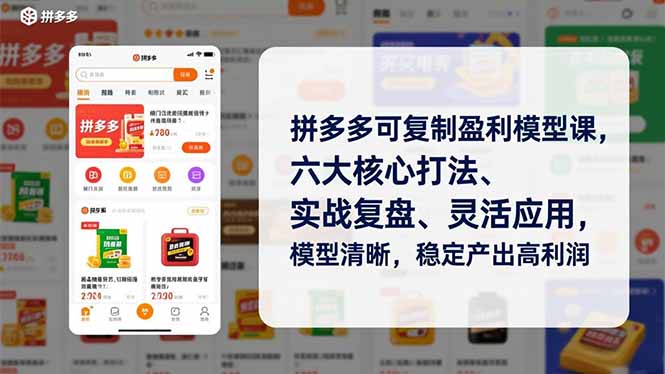 拼多多可复制盈利模型课，六大核心打法、实战复盘、灵活应用，模型清晰，稳定产出高利润-项目网