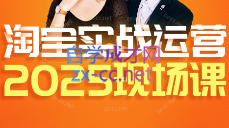 推易·淘宝全套运营现场课程(更新12月)-项目网