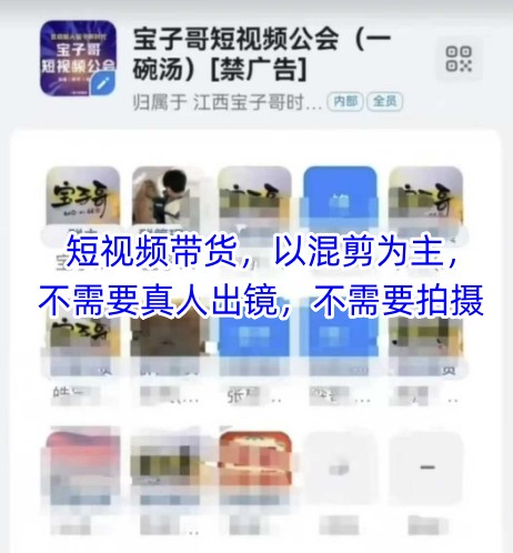 宝子哥头部团队短视频带货，以混剪为主，不需要真人出镜，不需要拍摄【更新12月】-项目网