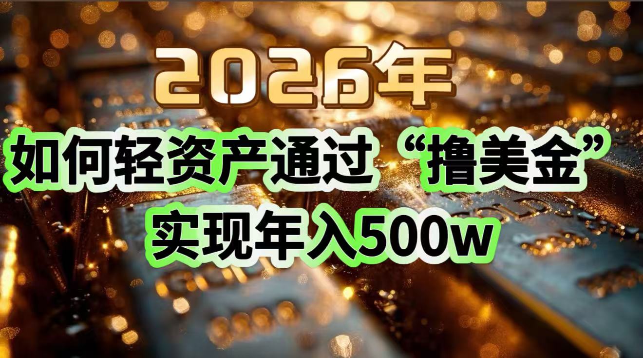 2026年如何轻资产通过“撸美金”实现年入500w-项目网