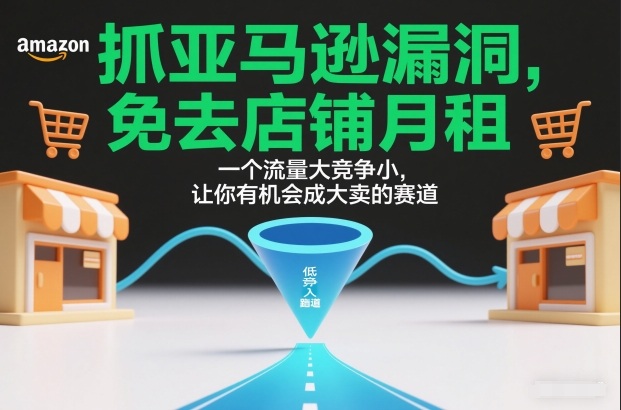 抓亚马逊漏洞，免去店铺月租，一个流量大竞争小，让你有机会成大卖的赛道-项目网
