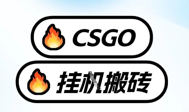 真全网独家CSGO挂G，最新玩法,单日捡漏1K+，不用电脑，不用打游戏【揭秘】-项目网