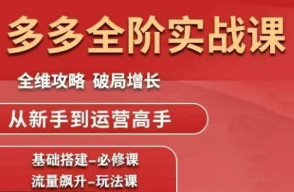 大炮·拼多多全阶实战课程(更新2026)-项目网