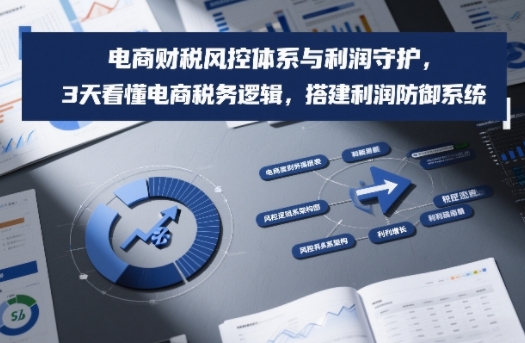 电商财税风控体系与利润守护，3天看懂电商税务逻辑，搭建利润防御系统-项目网