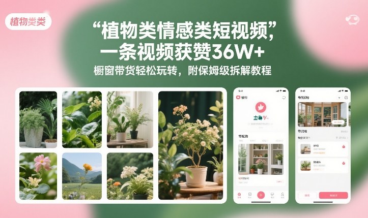 植物类情感类短视频，一条视频获赞36W+，橱窗带货轻松玩转，附保姆级拆解教程-项目网