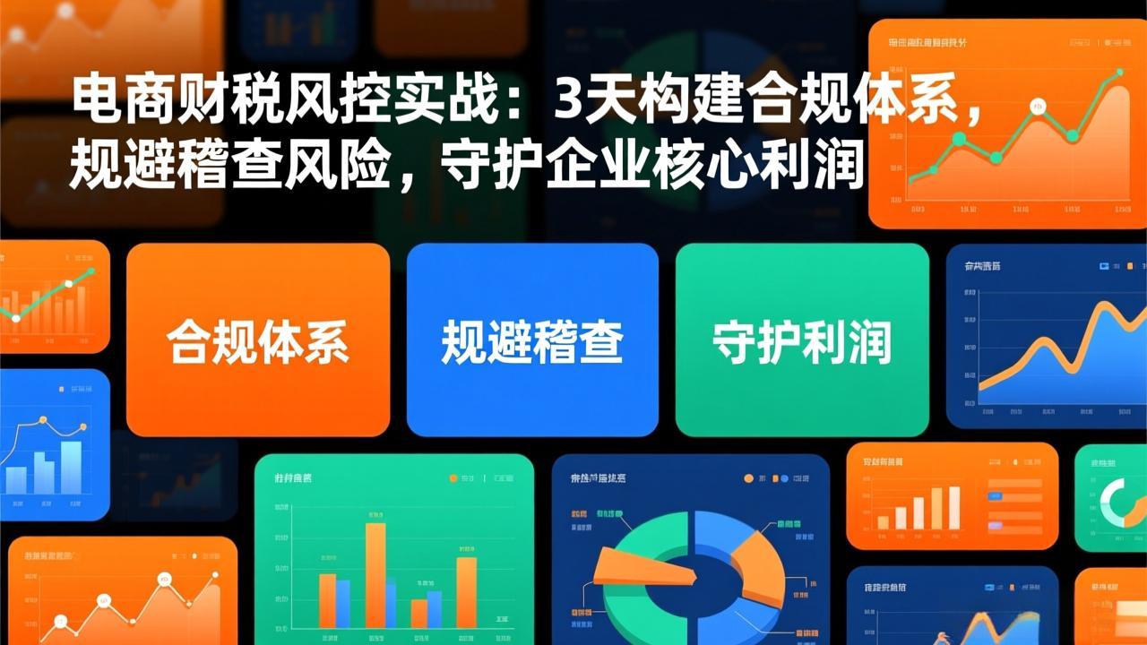 电商财税风控实战：3天构建合规体系，规避稽查风险，守护企业核心利润-项目网