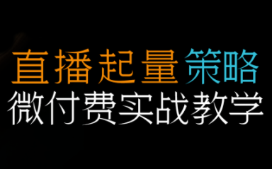 半野老师·直播带货起量与微付费必学课视频号(更新2026)-项目网