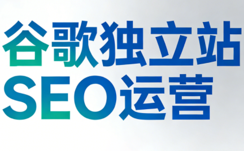 谷歌独立站SEO运营(更新2026)-项目网