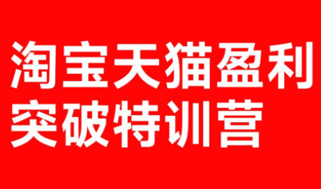 玺承·淘宝天猫盈利突破特训营(25年12月线下课)【音频+字幕】-项目网